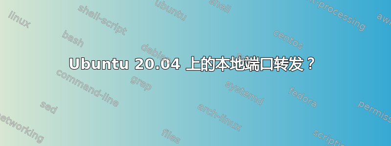 Ubuntu 20.04 上的本地端口转发？