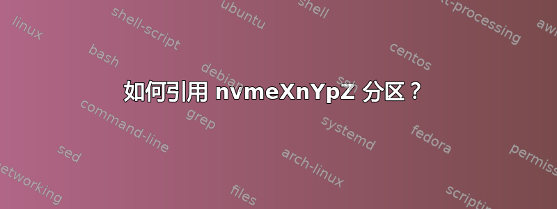 如何引用 nvmeXnYpZ 分区？