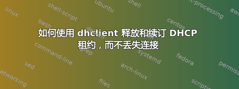 如何使用 dhclient 释放和续订 DHCP 租约，而不丢失连接