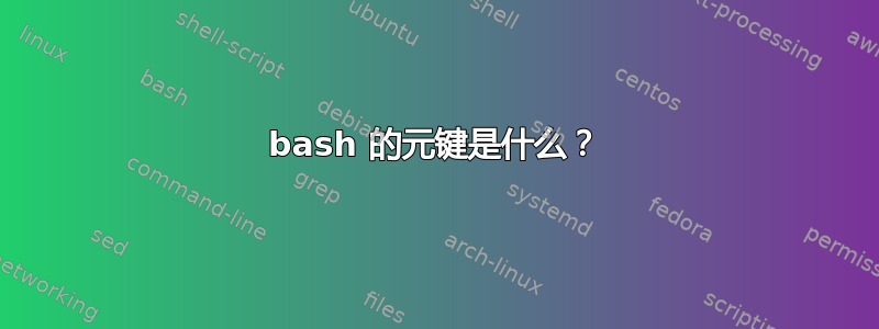 bash 的元键是什么？