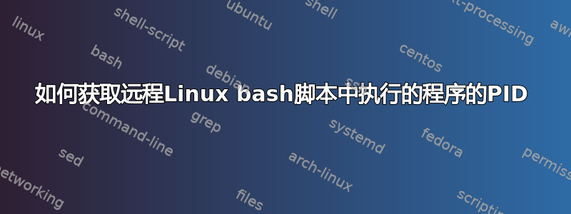 如何获取远程Linux bash脚本中执行的程序的PID