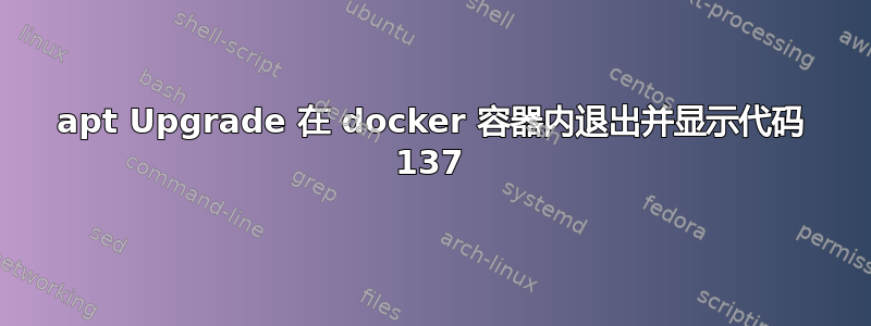 apt Upgrade 在 docker 容器内退出并显示代码 137