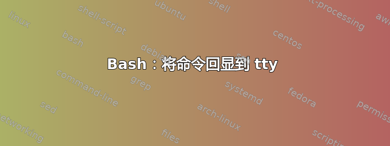 Bash：将命令回显到 tty