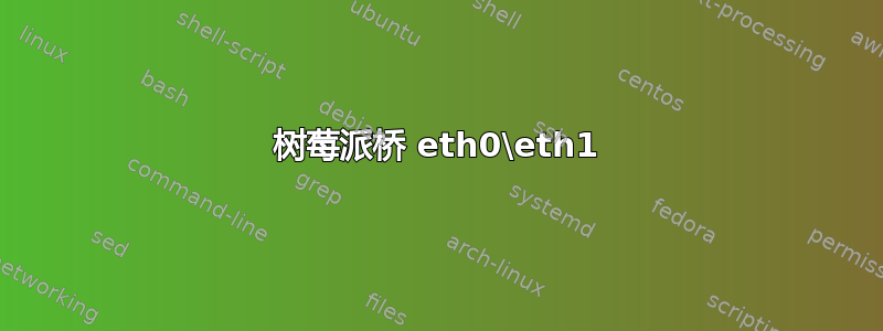 树莓派桥 eth0\eth1