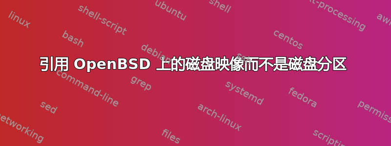 引用 OpenBSD 上的磁盘映像而不是磁盘分区