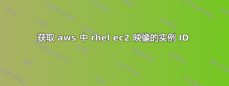 获取 aws 中 rhel ec2 映像的实例 ID