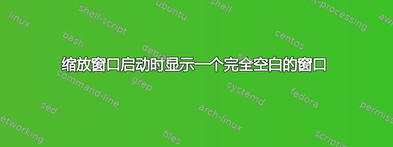 缩放窗口启动时显示一个完全空白的窗口