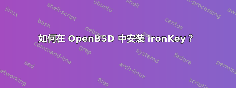 如何在 OpenBSD 中安装 IronKey？