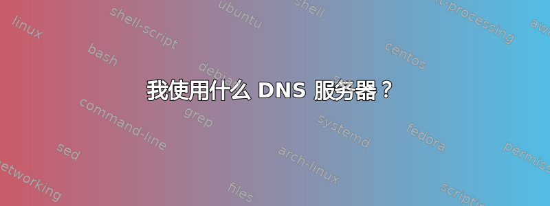 我使用什么 DNS 服务器？