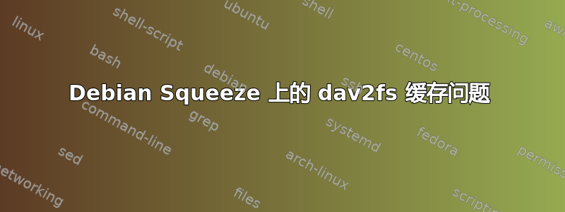 Debian Squeeze 上的 dav2fs 缓存问题