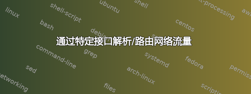 通过特定接口解析/路由网络流量