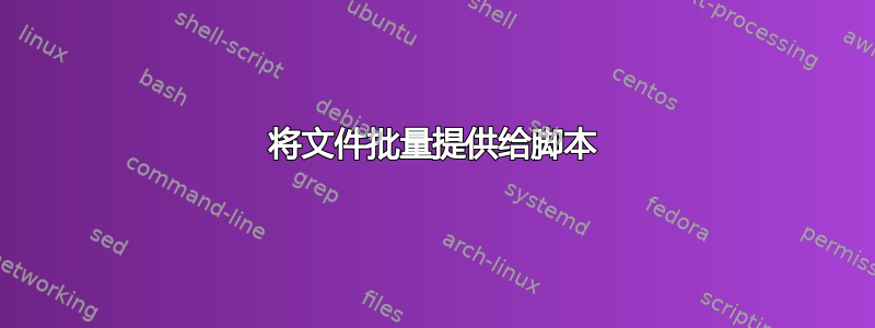 将文件批量提供给脚本