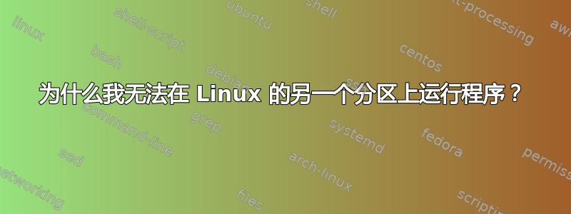 为什么我无法在 Linux 的另一个分区上运行程序？