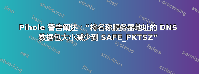 Pihole 警告阐述：“将名称服务器地址的 DNS 数据包大小减少到 SAFE_PKTSZ”