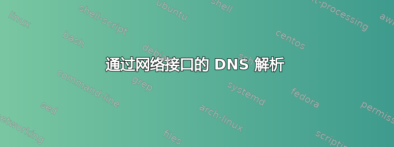 通过网络接口的 DNS 解析