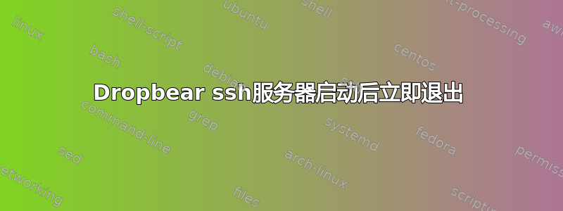 Dropbear ssh服务器启动后立即退出