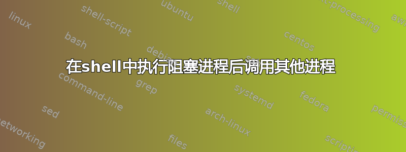 在shell中执行阻塞进程后调用其他进程