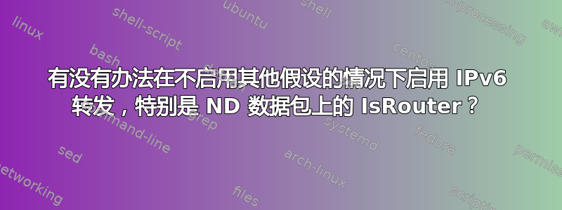 有没有办法在不启用其他假设的情况下启用 IPv6 转发，特别是 ND 数据包上的 IsRouter？