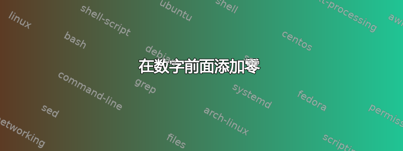 在数字前面添加零