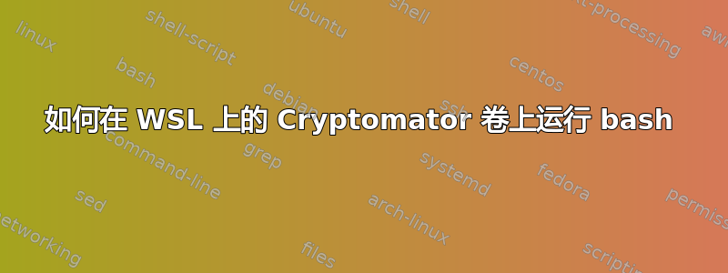 如何在 WSL 上的 Cryptomator 卷上运行 bash