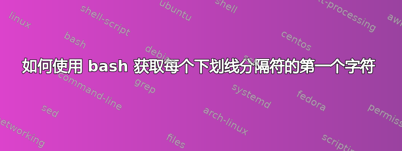 如何使用 bash 获取每个下划线分隔符的第一个字符