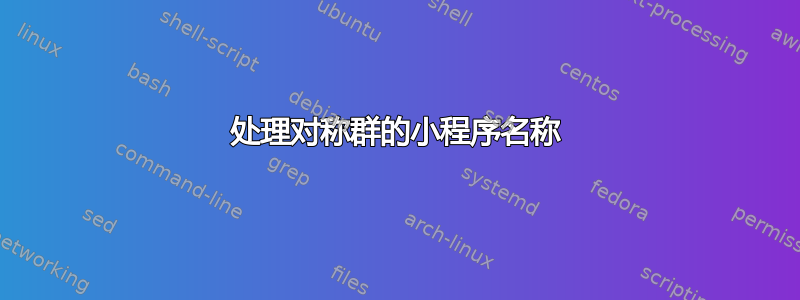 处理对称群的小程序名称