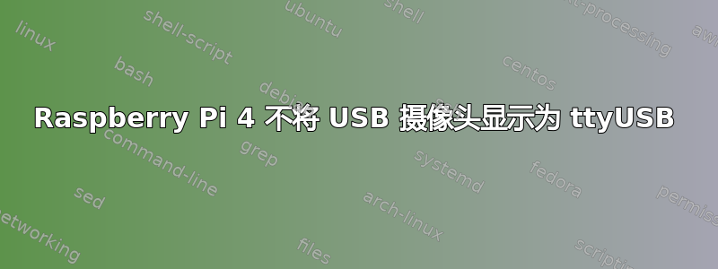 Raspberry Pi 4 不将 USB 摄像头显示为 ttyUSB