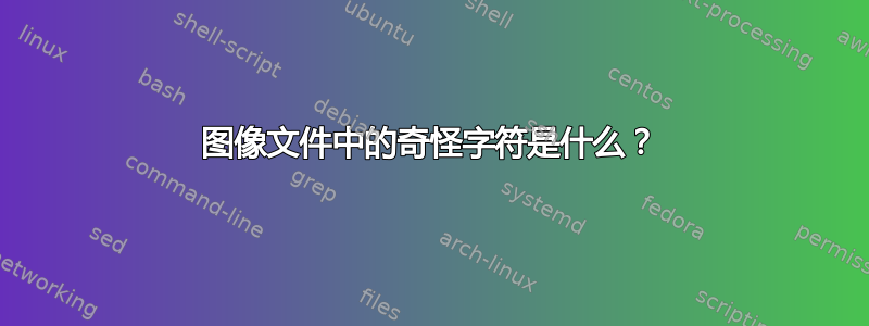 图像文件中的奇怪字符是什么？