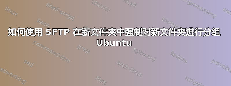 如何使用 SFTP 在新文件夹中强制对新文件夹进行分组 Ubuntu