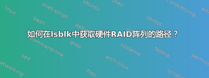 如何在lsblk中获取硬件RAID阵列的路径？