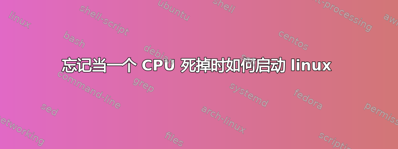 忘记当一个 CPU 死掉时如何启动 linux