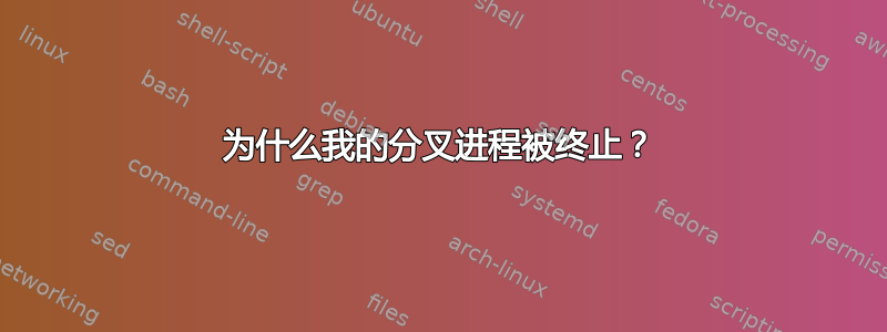 为什么我的分叉进程被终止？