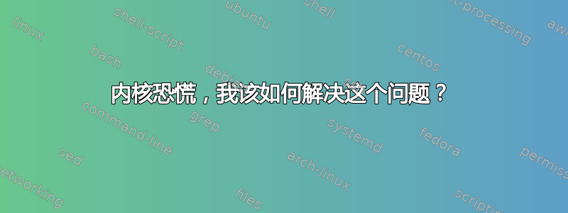 内核恐慌，我该如何解决这个问题？