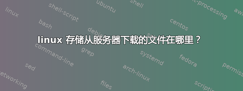 linux 存储从服务器下载的文件在哪里？