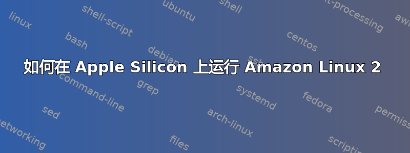 如何在 Apple Silicon 上运行 Amazon Linux 2