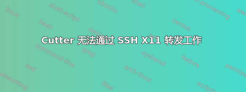 Cutter 无法通过 SSH X11 转发工作