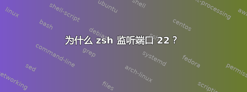 为什么 zsh 监听端口 22？