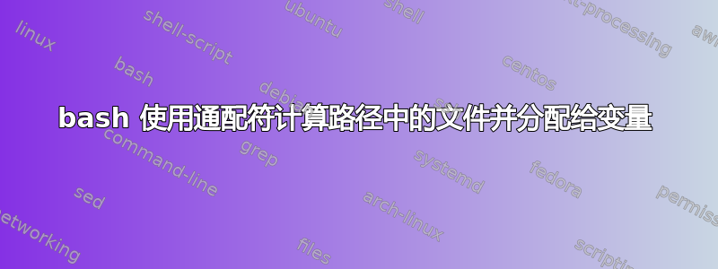 bash 使用通配符计算路径中的文件并分配给变量