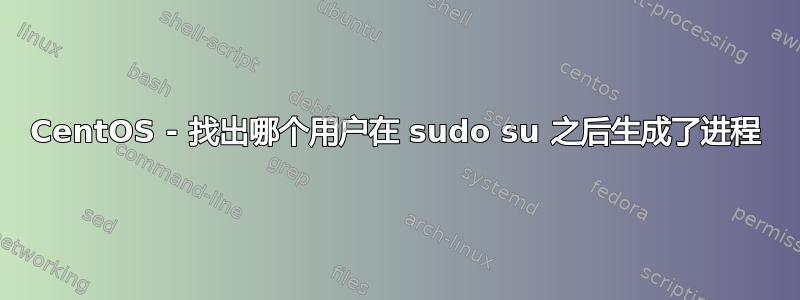 CentOS - 找出哪个用户在 sudo su 之后生成了进程