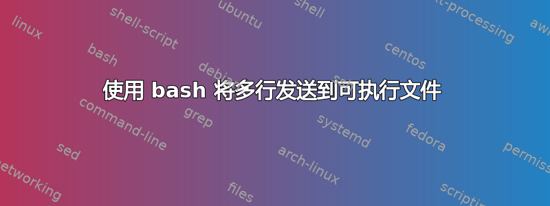 使用 bash 将多行发送到可执行文件