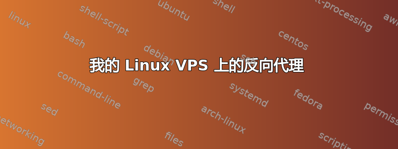 我的 Linux VPS 上的反向代理