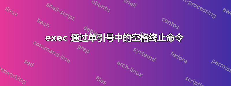 exec 通过单引号中的空格终止命令