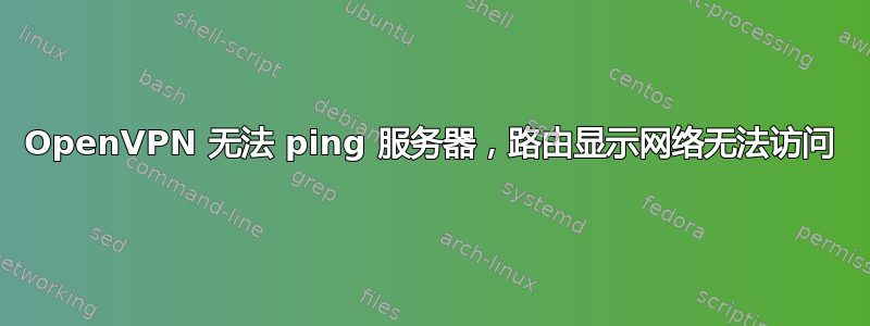 OpenVPN 无法 ping 服务器，路由显示网络无法访问