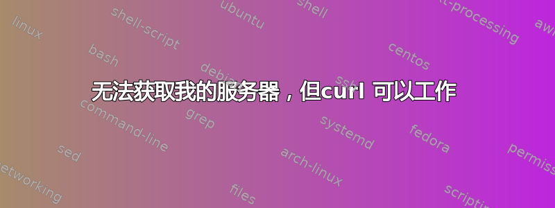 无法获取我的服务器，但curl 可以工作