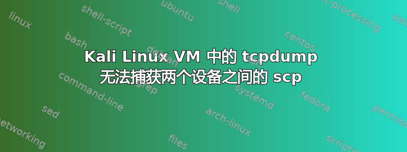 Kali Linux VM 中的 tcpdump 无法捕获两个设备之间的 scp