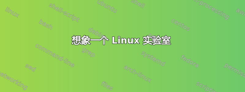 想象一个 Linux 实验室