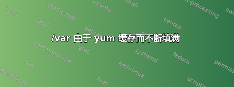 /var 由于 yum 缓存而不断填满