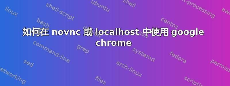 如何在 novnc 或 localhost 中使用 google chrome