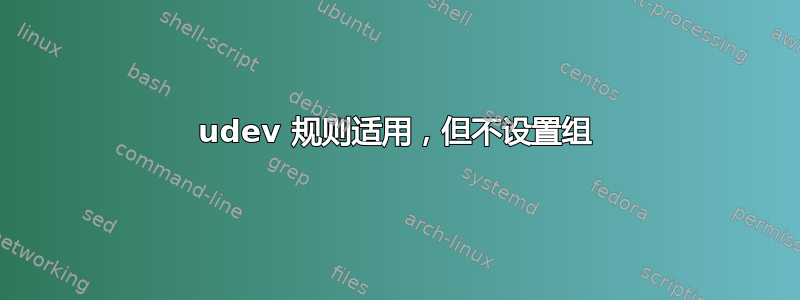 udev 规则适用，但不设置组