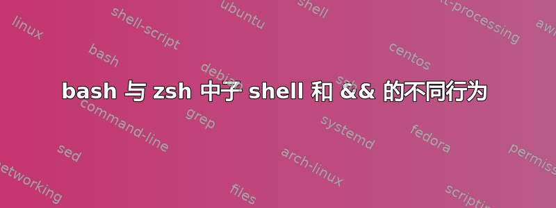 bash 与 zsh 中子 shell 和 && 的不同行为